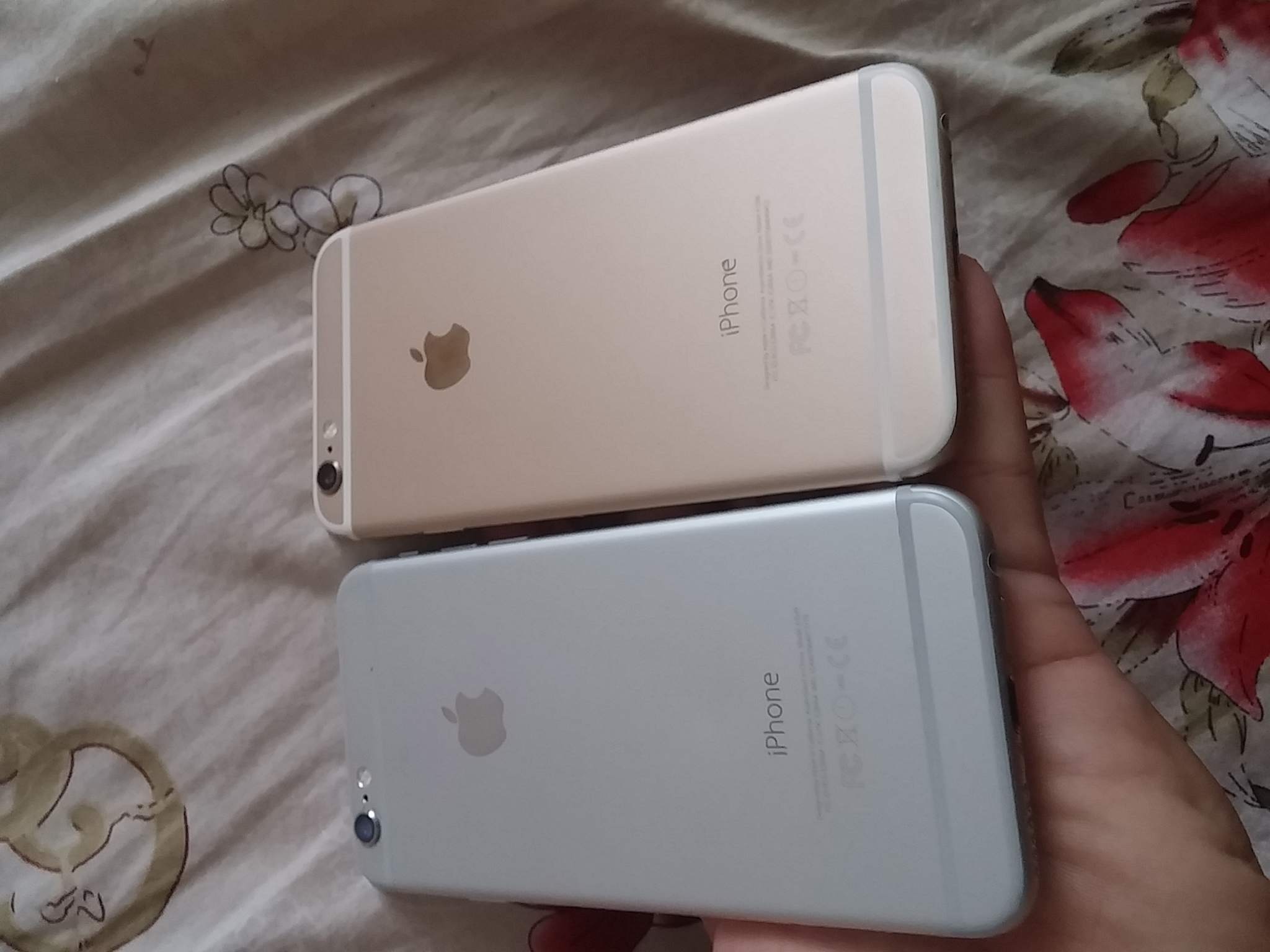 20161005_104552.jpg