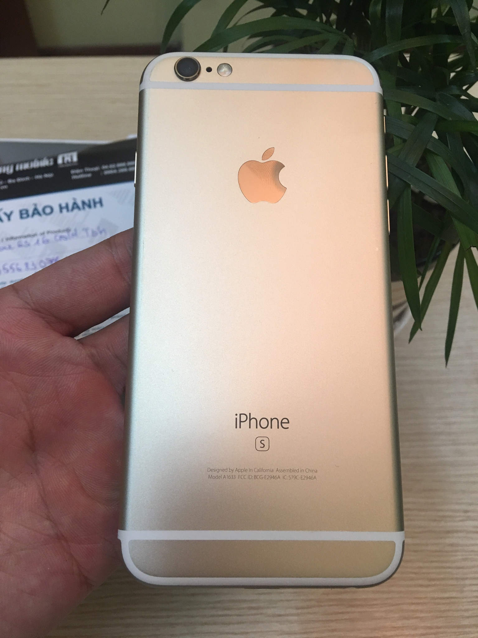 1475747618422_11959.jpg