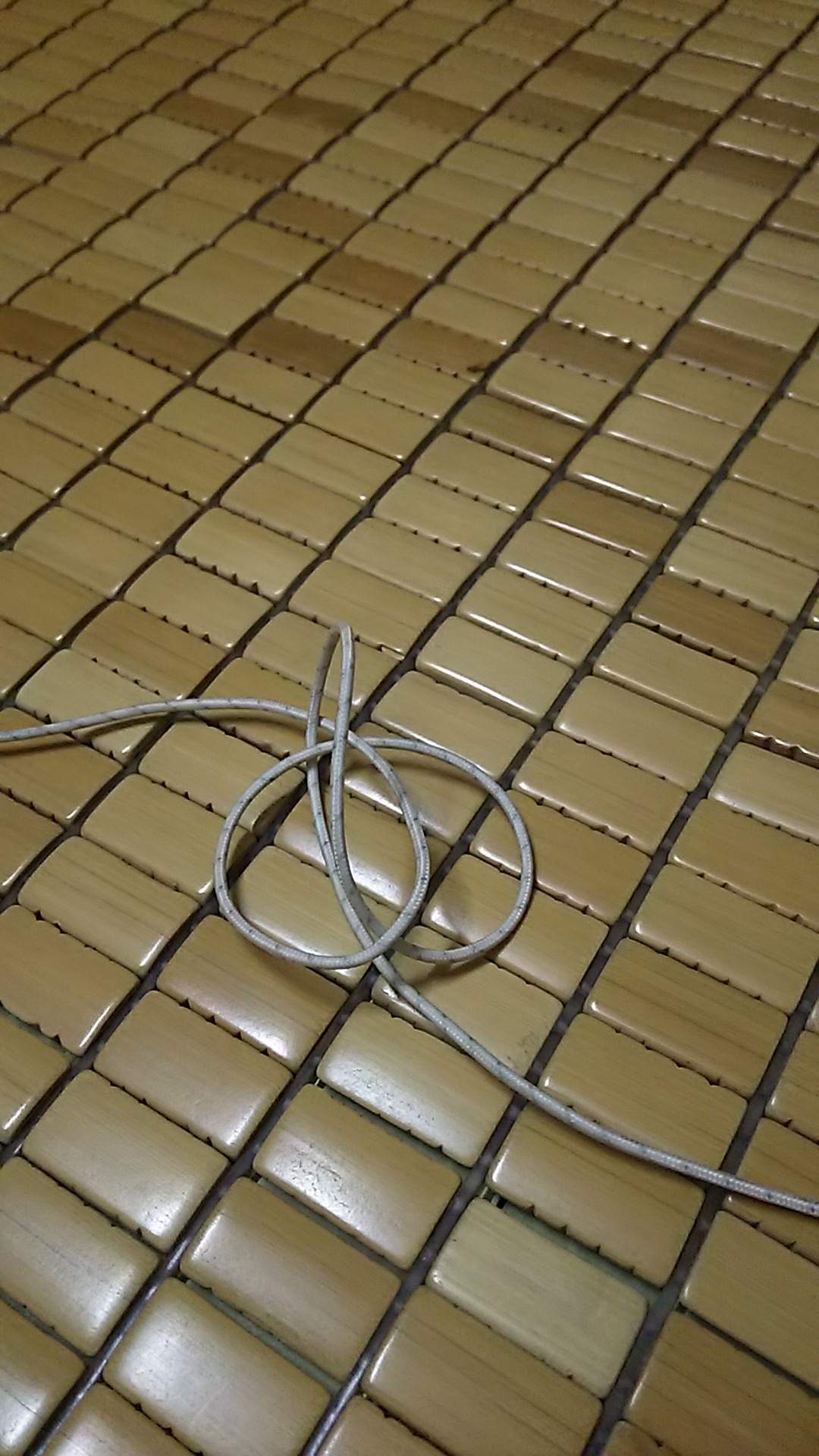 14599914_170306573419244_653661212_o.jpg
