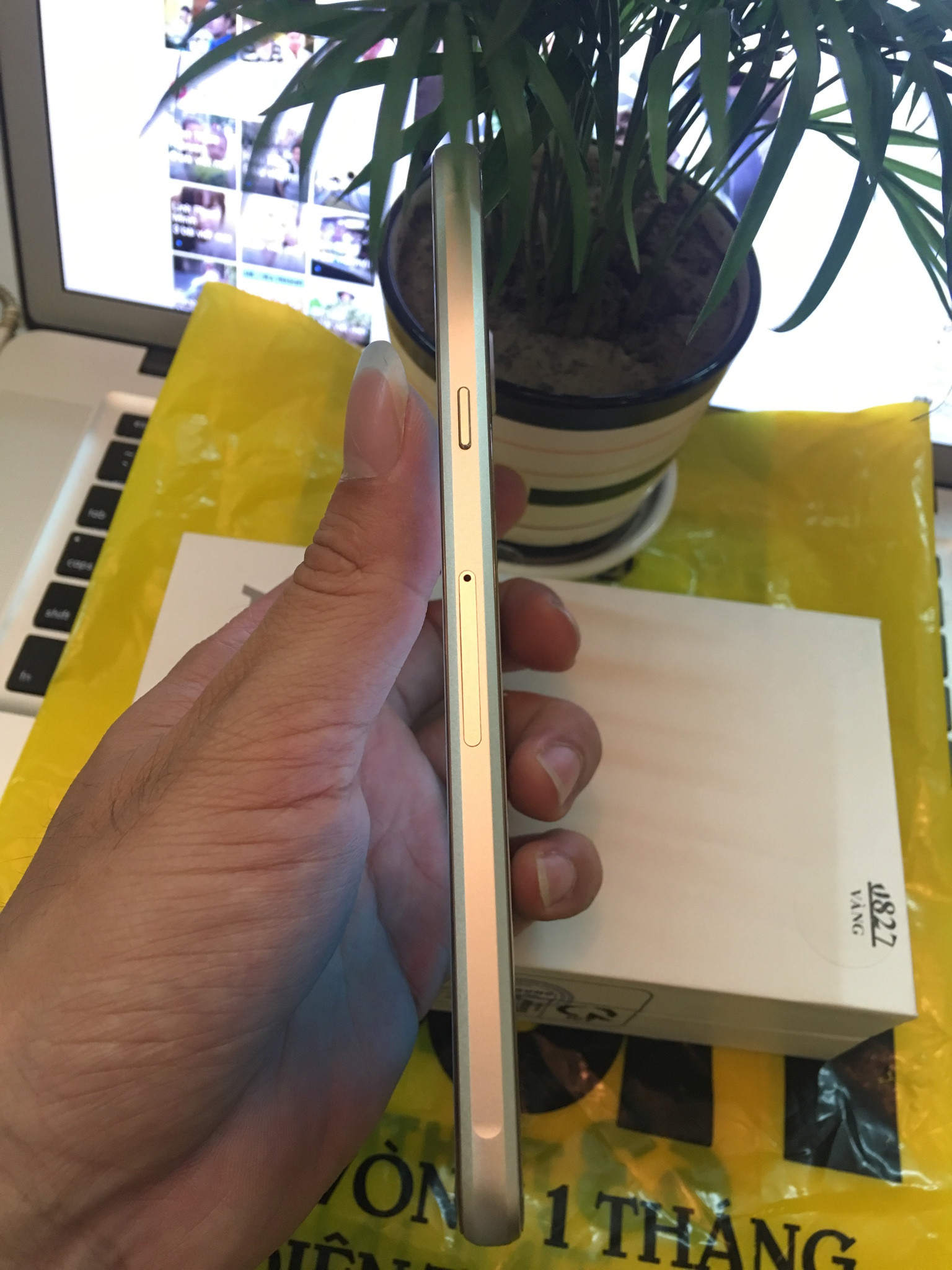 1475826224864_12022.jpg