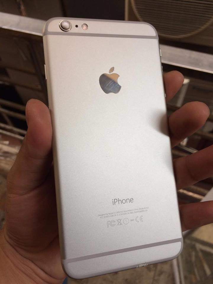 14593492_1584990861809775_1090221004_n.jpg