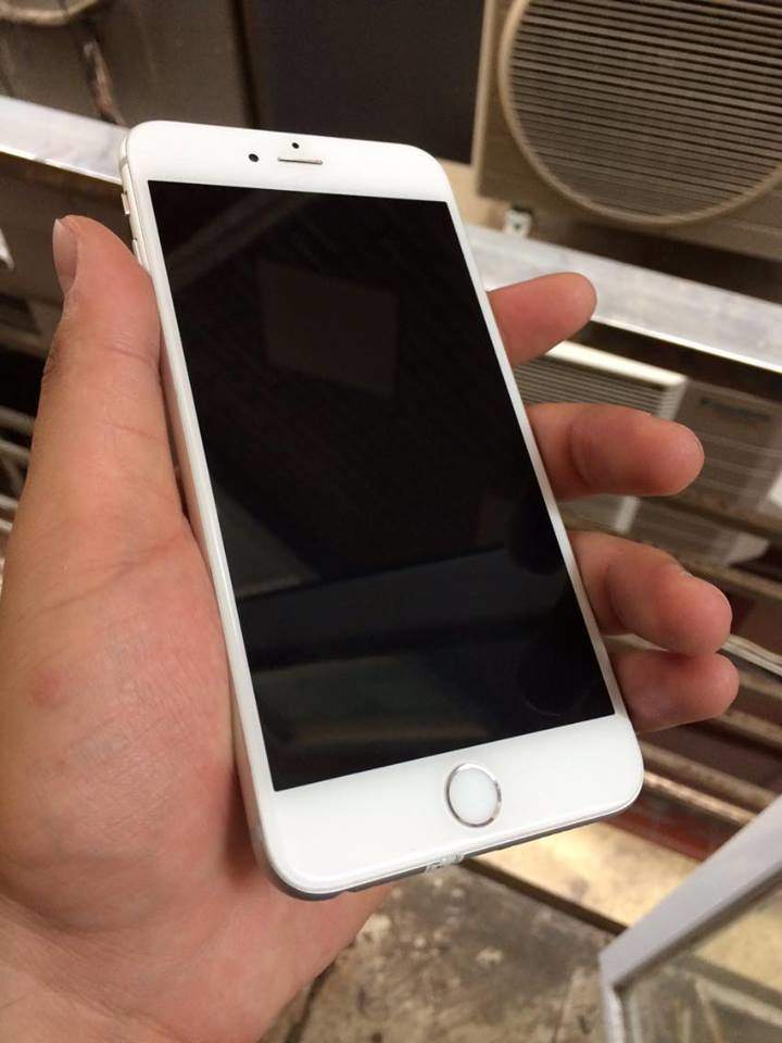 14593645_1584990865143108_1242801769_n.jpg