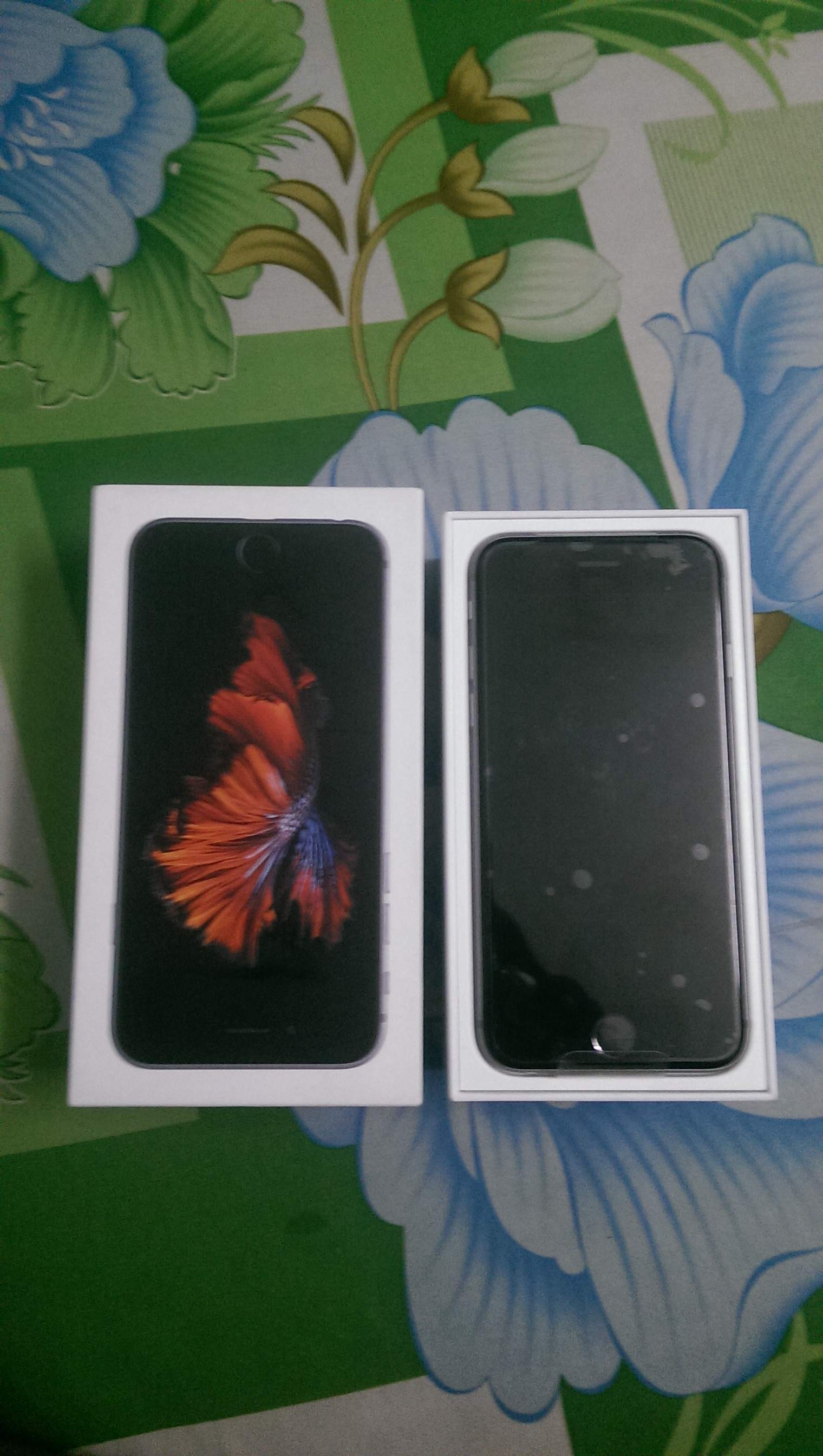 IMAG1109.jpg