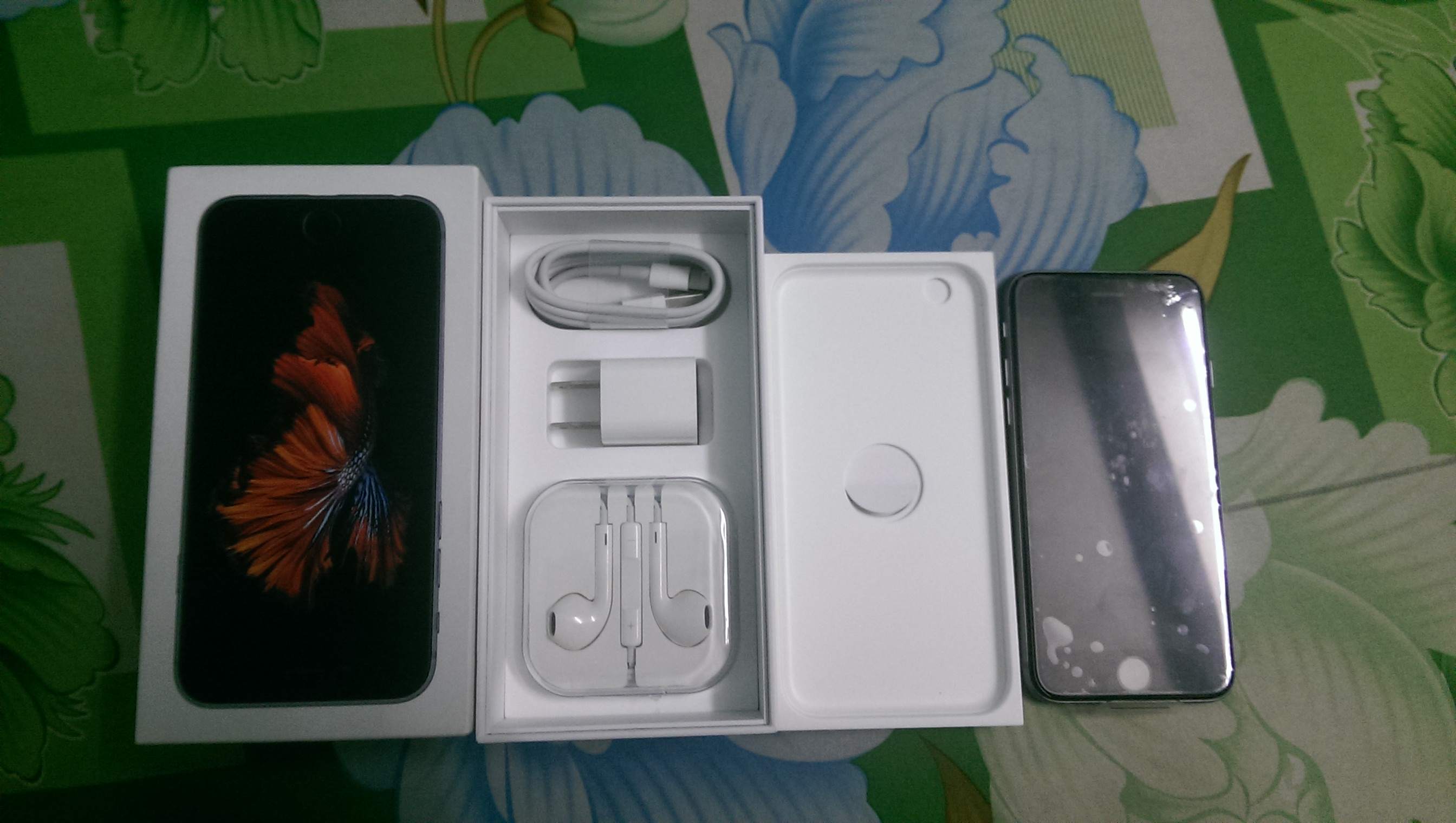 IMAG1108.jpg