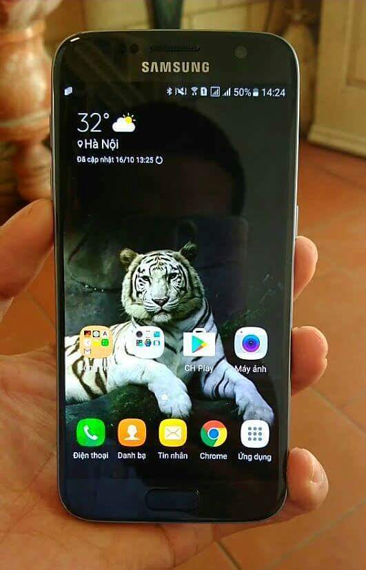 received_1124639577652384.jpeg