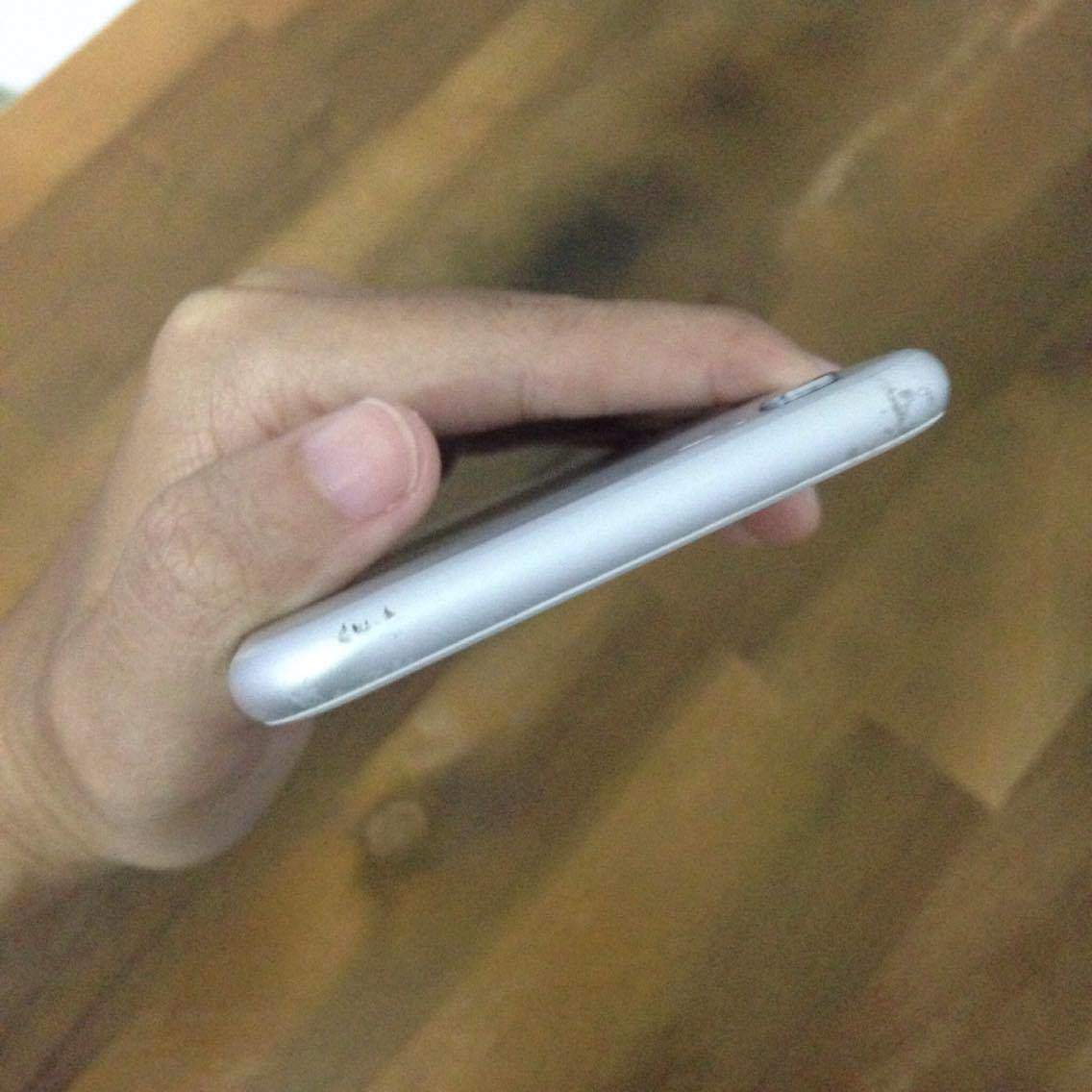 14725434_1162745800468105_1771265079_o.jpg