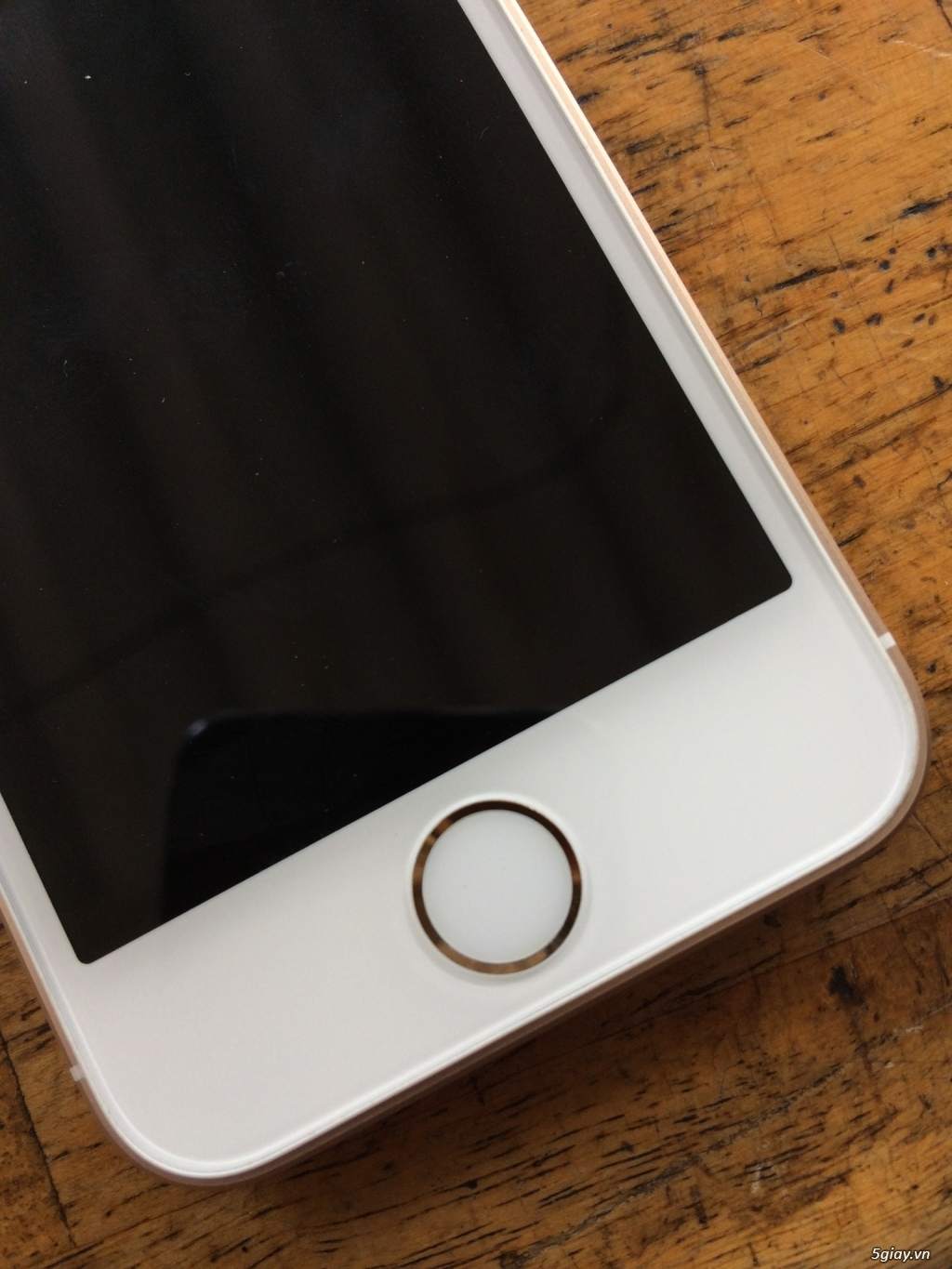 20160922_bbdcdd2a07660973cb28305bf61c13a2_1474536430 (1).JPG