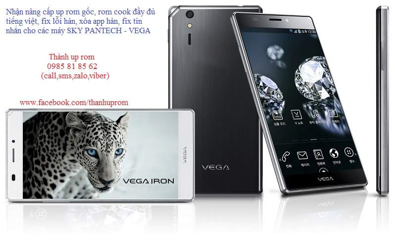 Vega_Iron.jpg