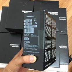 14485011_1172303426189484_6031855906705263953_n.jpg