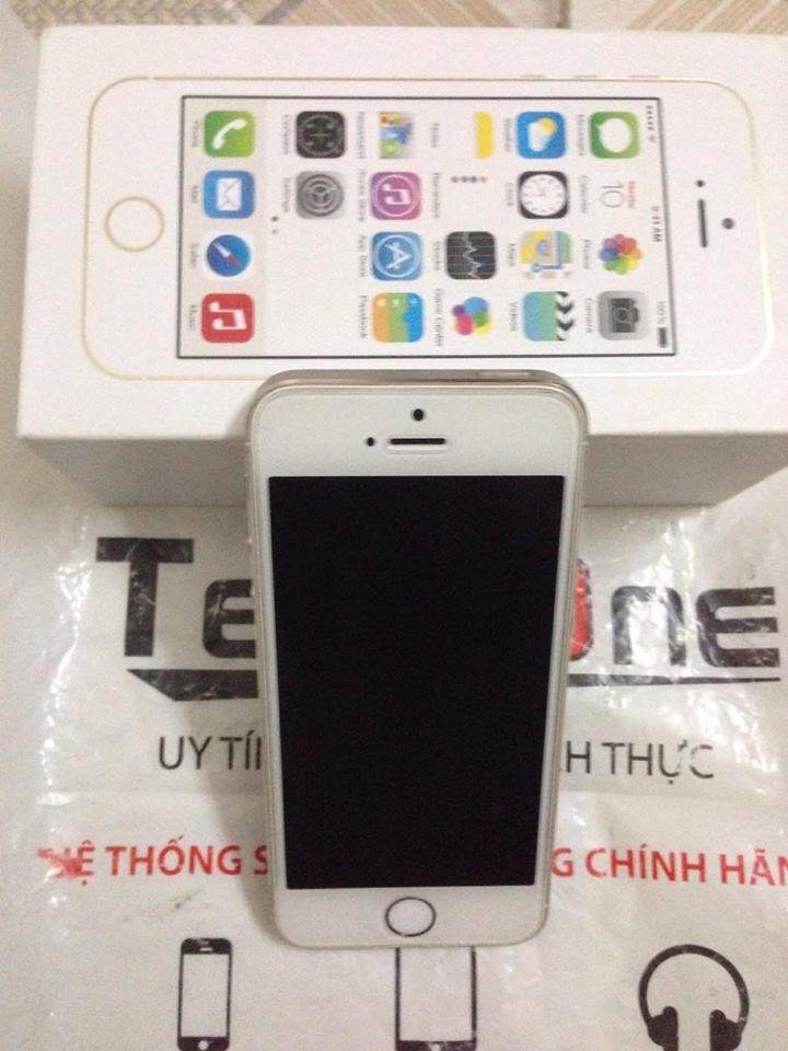 5s gold techone 1.jpg