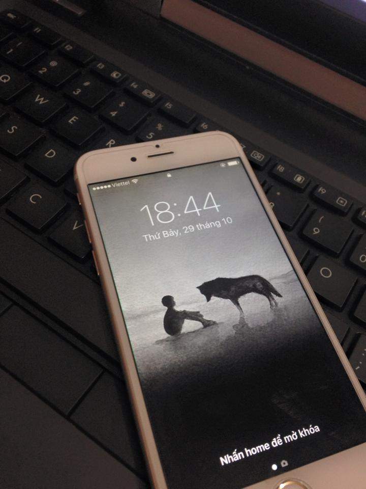 333.jpg