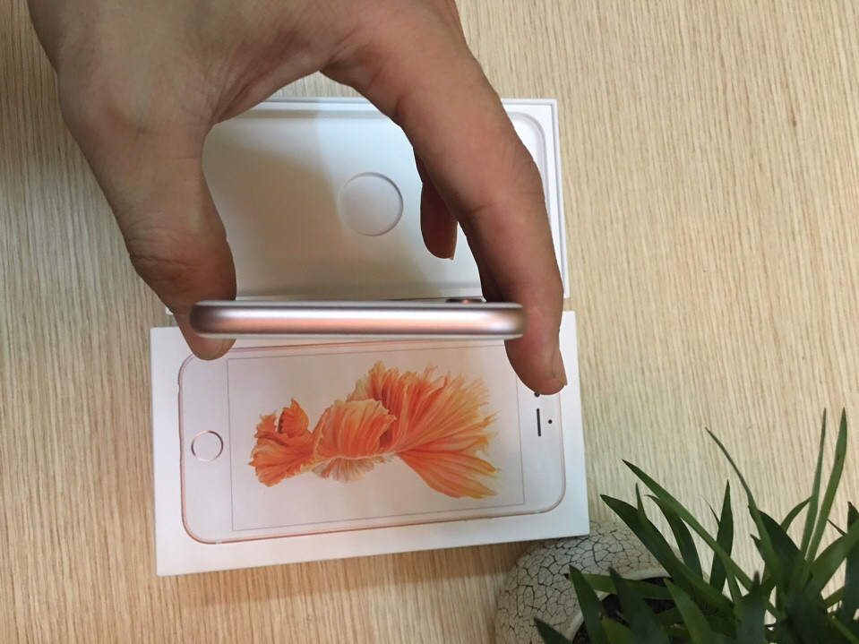 dbb9ce36c39d28c3718c.jpg