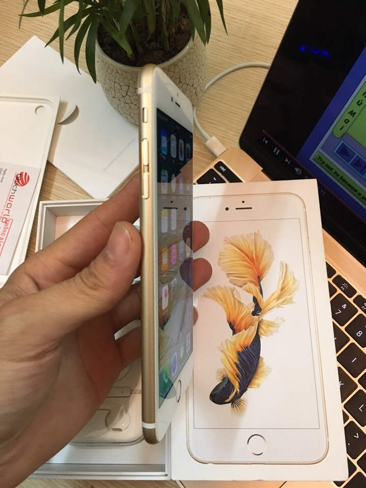 a5c23fa5ab0e4050191f.jpg