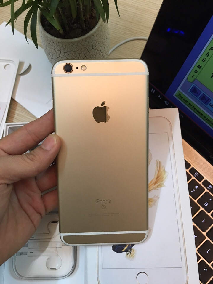 c86e480fdca437fa6eb5.jpg