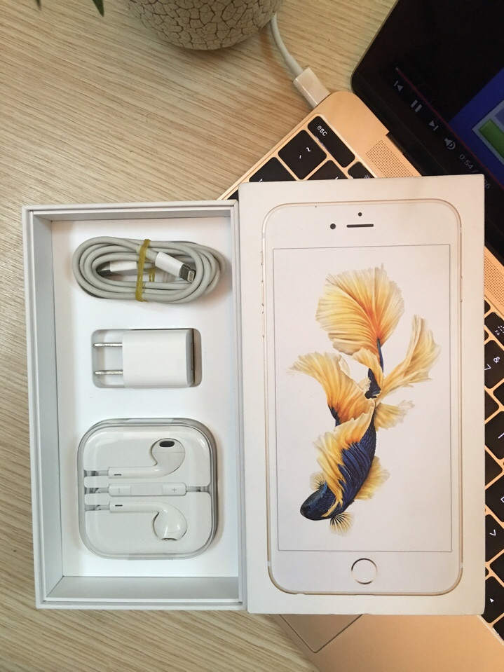 df65c10055abbef5e7ba.jpg