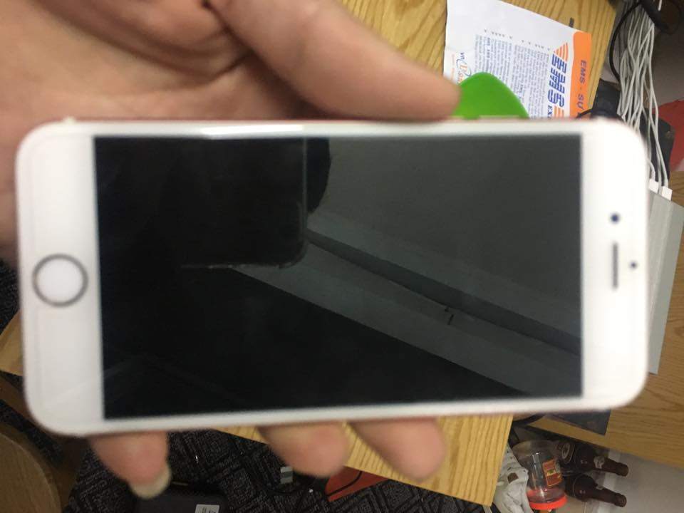 14908168_1591028477589700_1239245439955752169_n.jpg