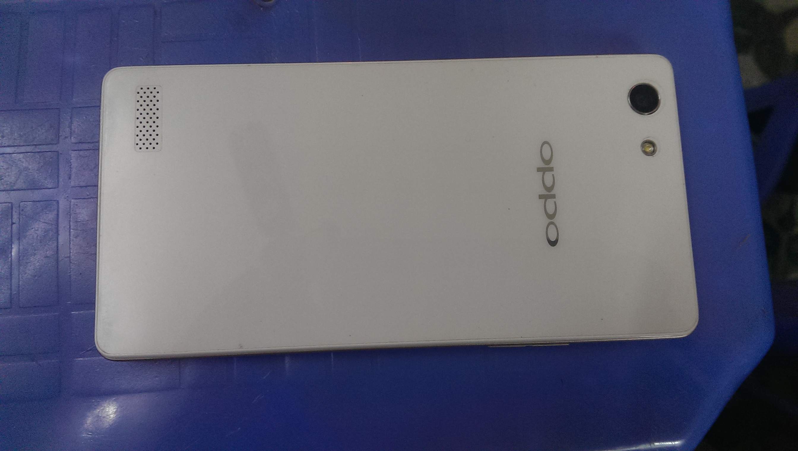 IMAG3612.jpg