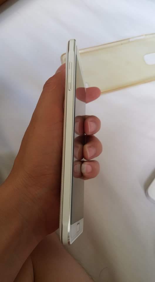 received_683167661849968.jpeg
