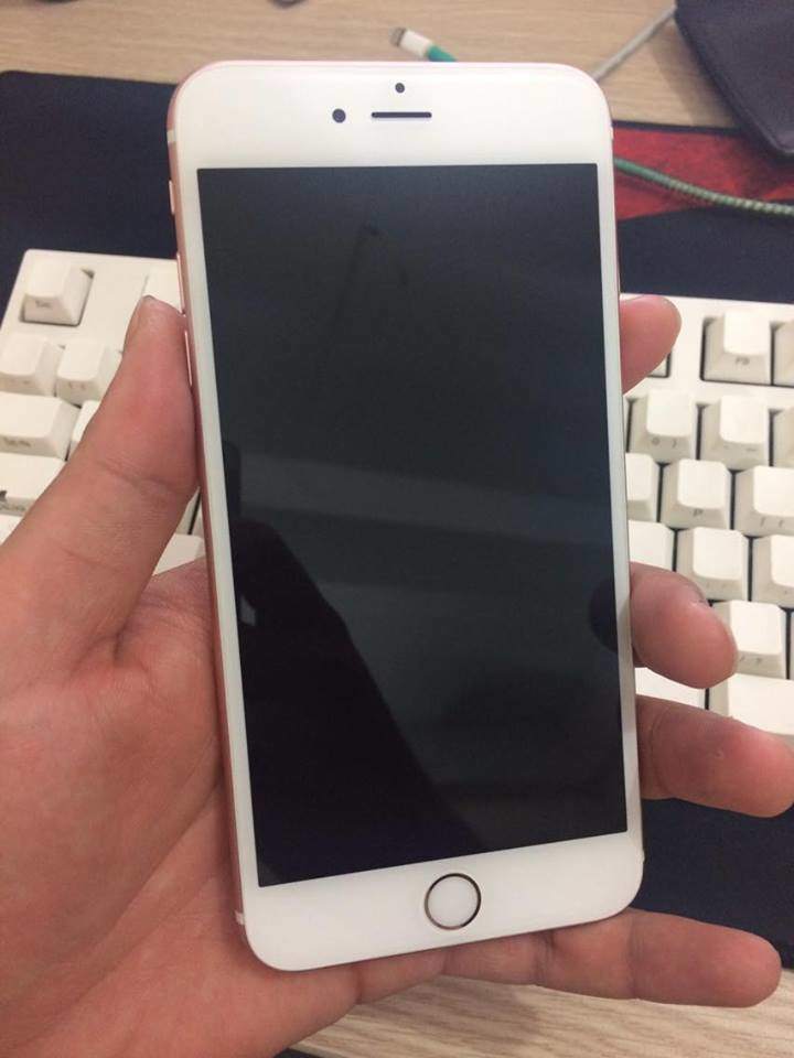 14996462_1595390557436472_2078261020_n.jpg