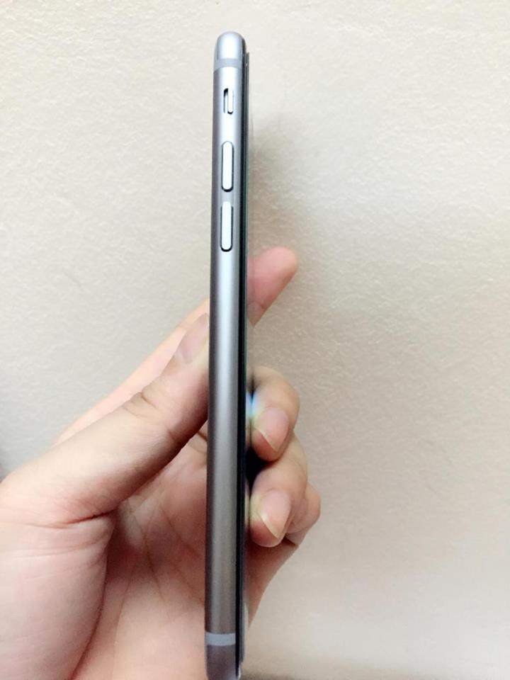14798831_954766131336585_1206662705_n.jpg
