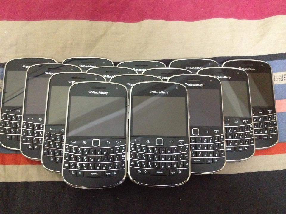 14906955_533577660175080_7932017632765172482_n.jpg