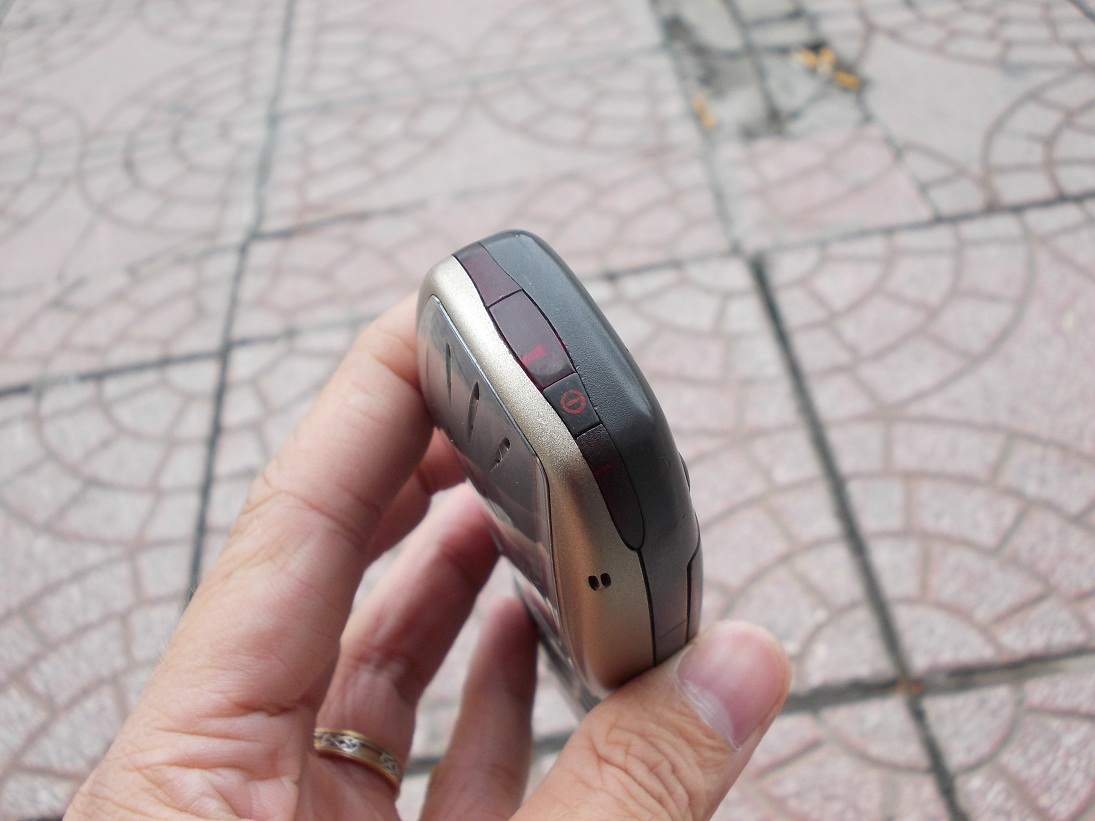 DSCN6150.JPG