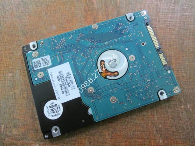 500g hitachi bung.JPG