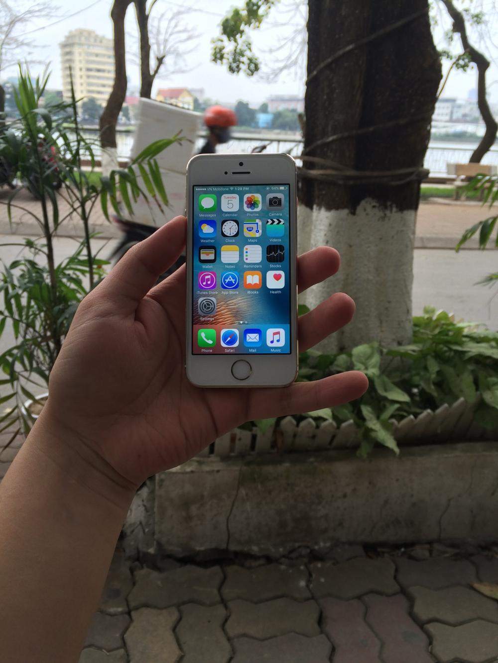 483531e912355-2dbb.jpg
