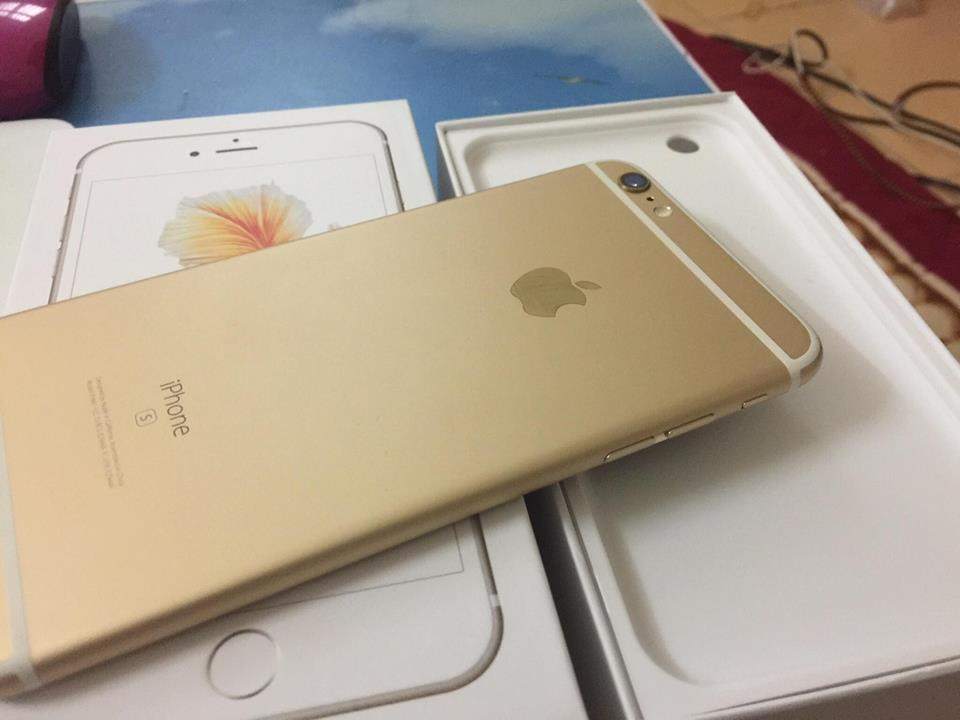 15139532_920667008065746_1534064105_n.jpg