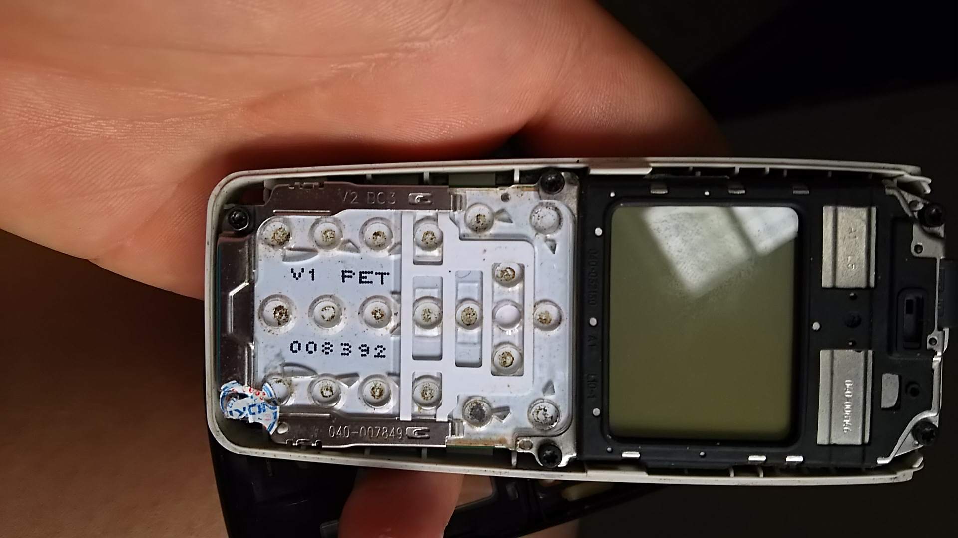 15388624_211205639329337_1359384705_o.jpg
