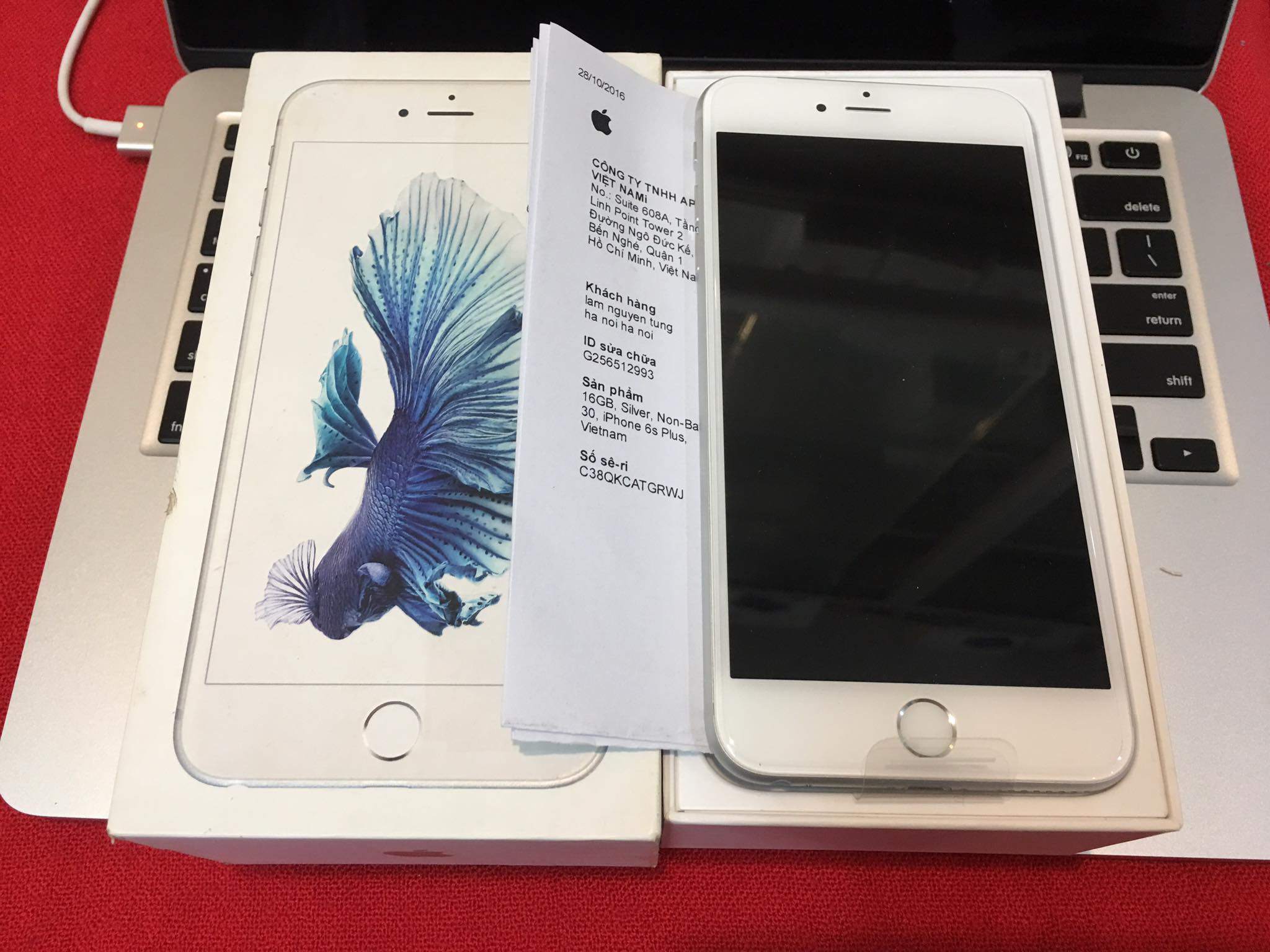 15369129_1396808440330654_6171242334537827764_o.jpg