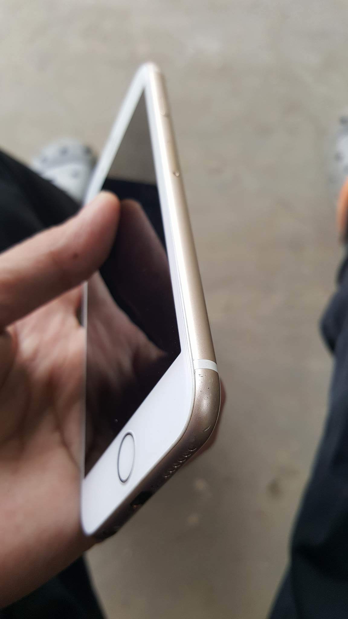 15368844_1561170977232907_1177892418_o.jpg