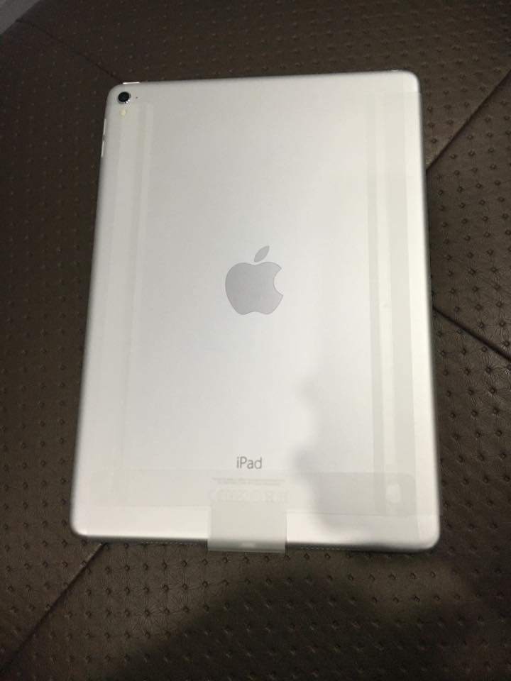 15442373_1158704830872115_3708878184040788165_n.jpg