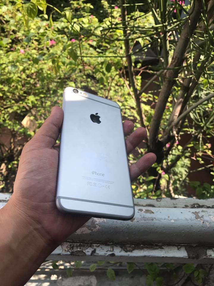 15073440_1084798058284173_3728837039084779248_n.jpg