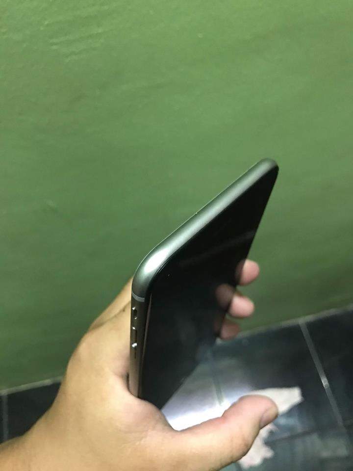 15492153_1114289482001697_8528116319403323827_n.jpg
