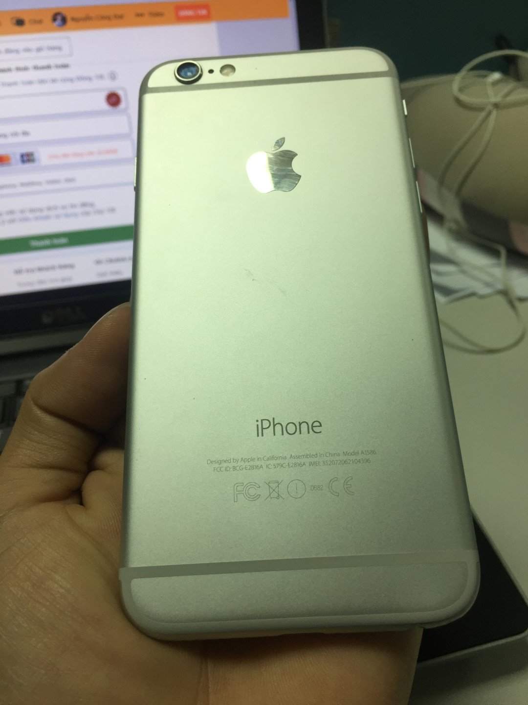 IMG_0032 (Large).JPG