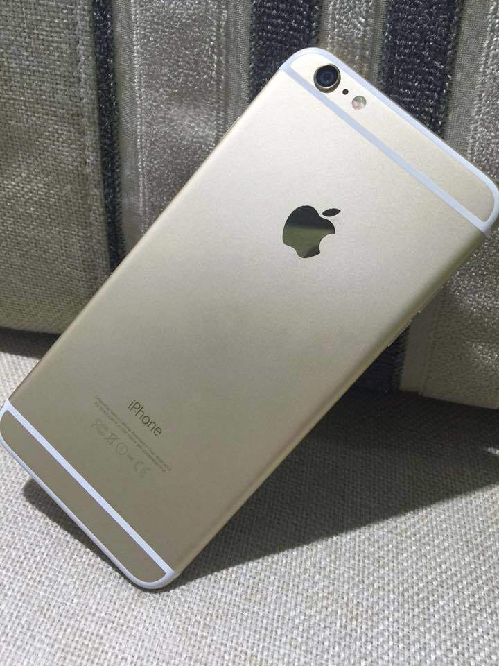11781771_856006174476146_8449684261253371899_n.jpg