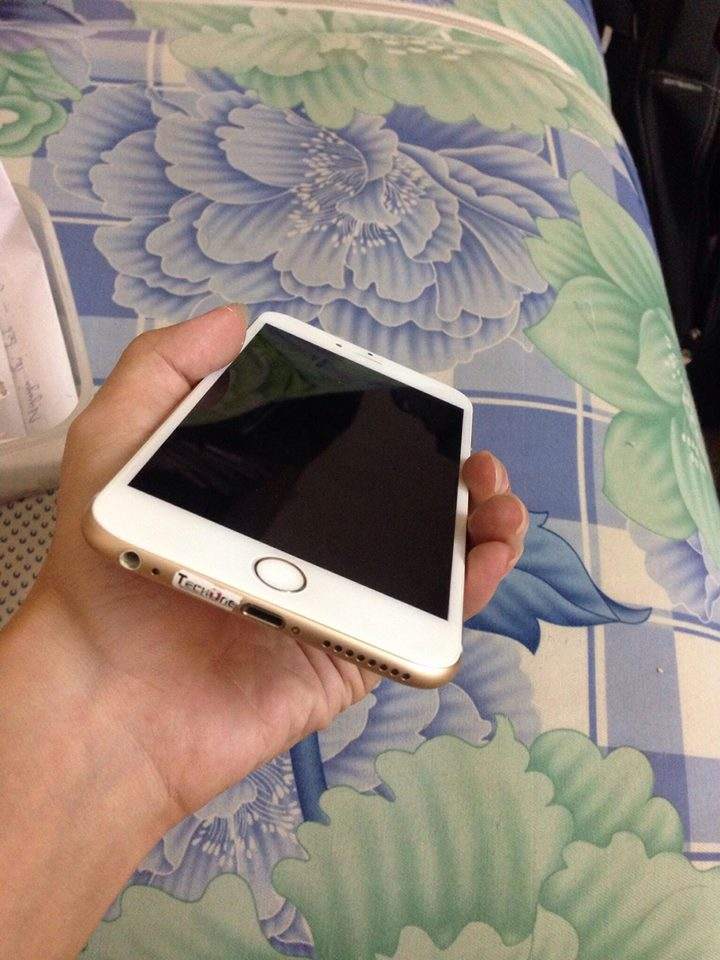 15355884_766681246812716_1262851515_n.jpg