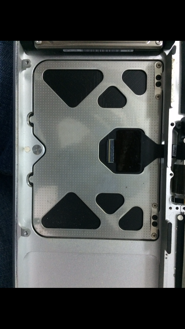 IMG_2041.PNG