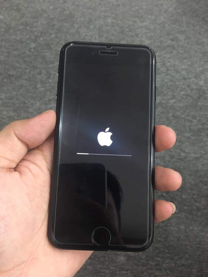 15541438_1498368360173618_4863196503147063247_n.jpg
