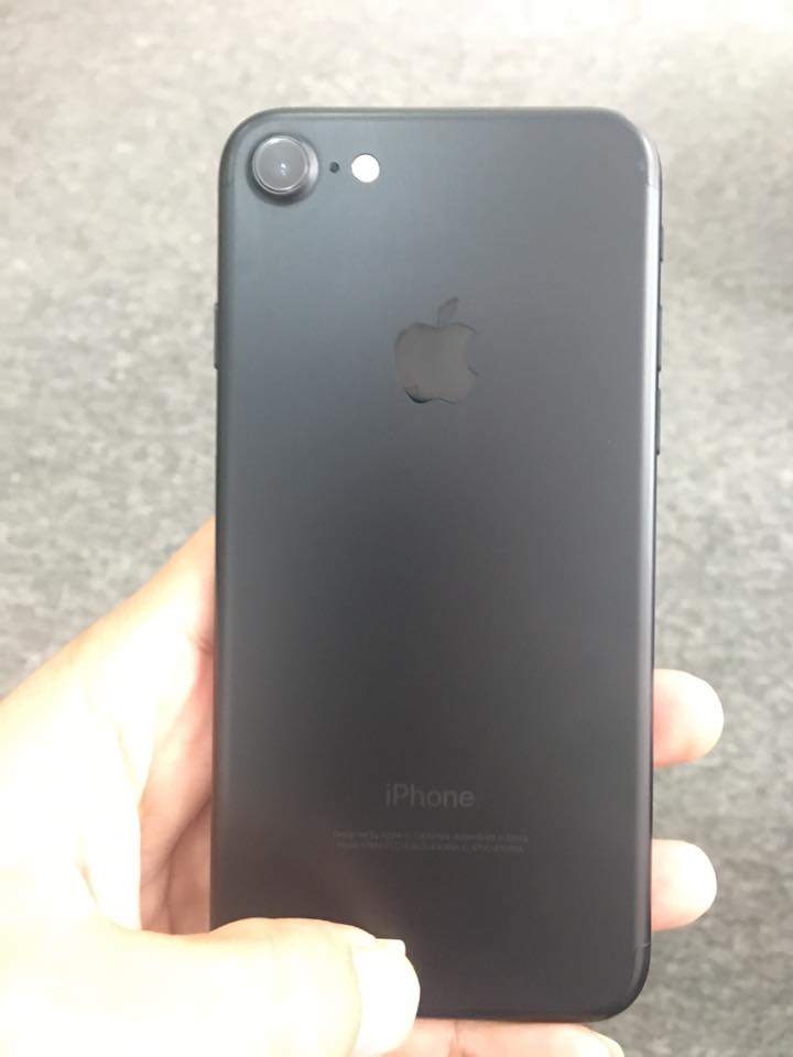 15590087_1498368376840283_7308818240347383165_n.jpg