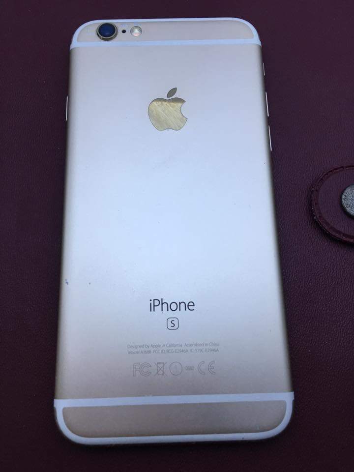 15590087_634855926699760_1108864512063858139_n.jpg