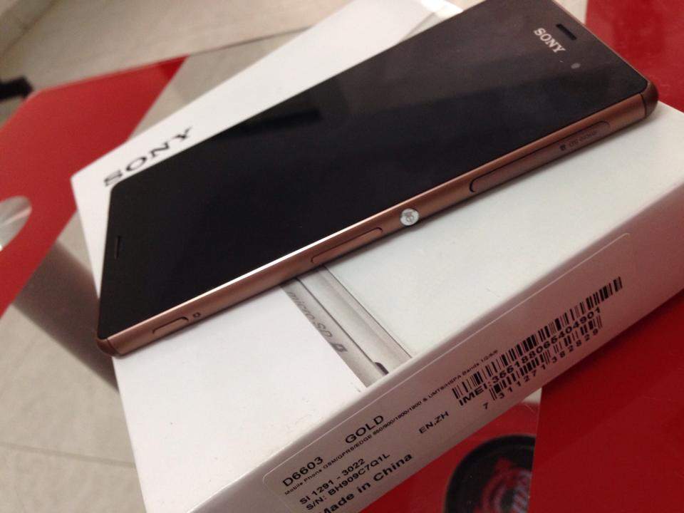 wsx1448031691.jpg