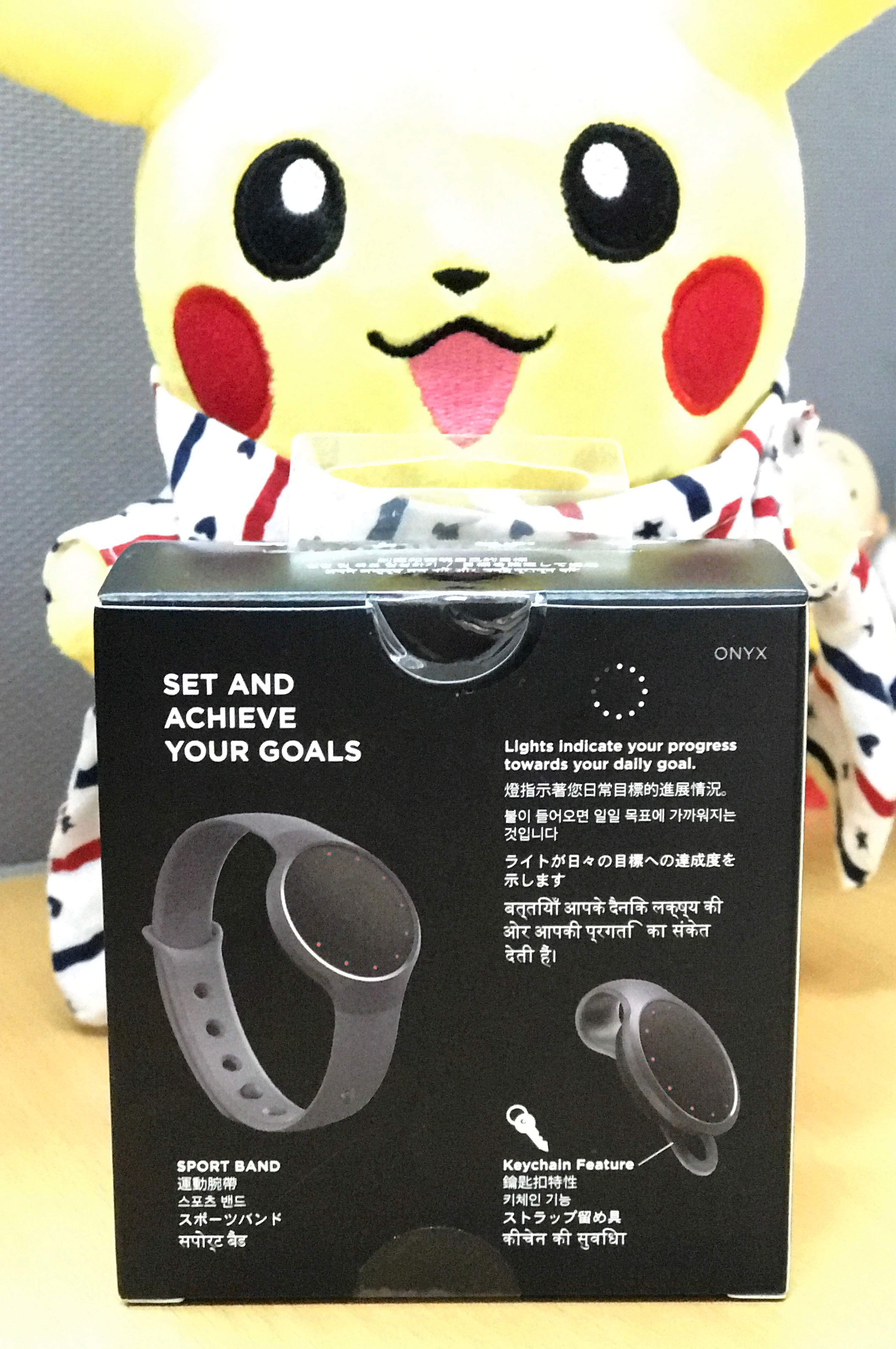 Misfit Flash 2 copy.jpg