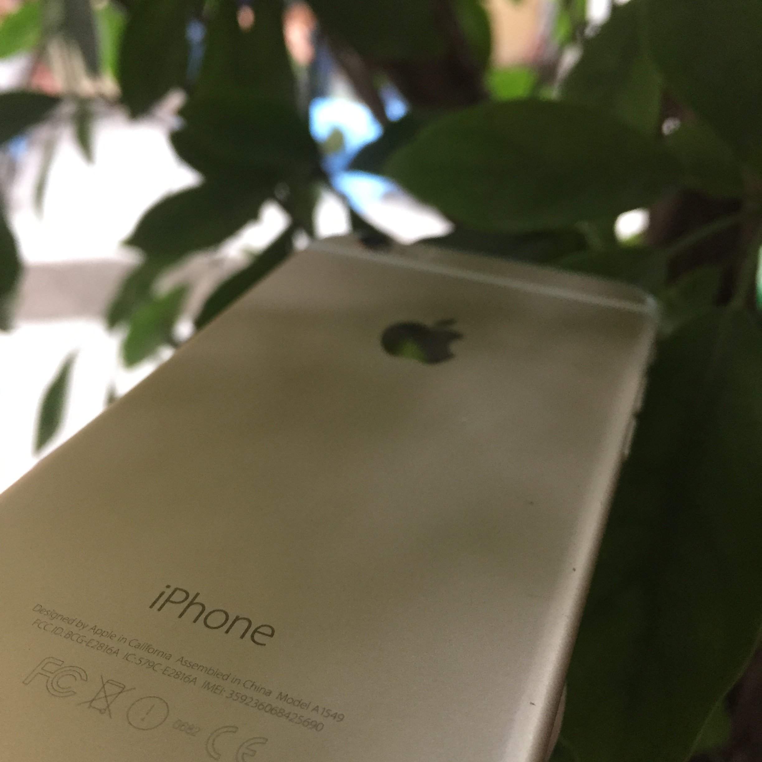 IMG_3568.JPG