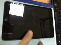 7548747_53e2aea88e85925af2f5d6f839f9894f_thumb.jpg