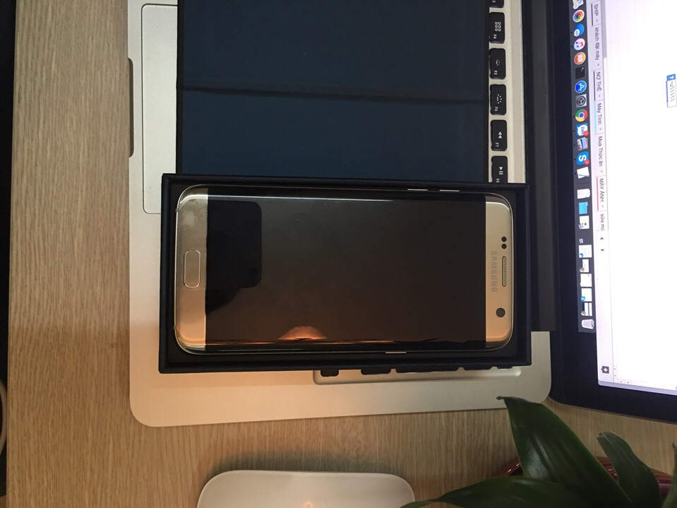 1482745453251_5814.jpg