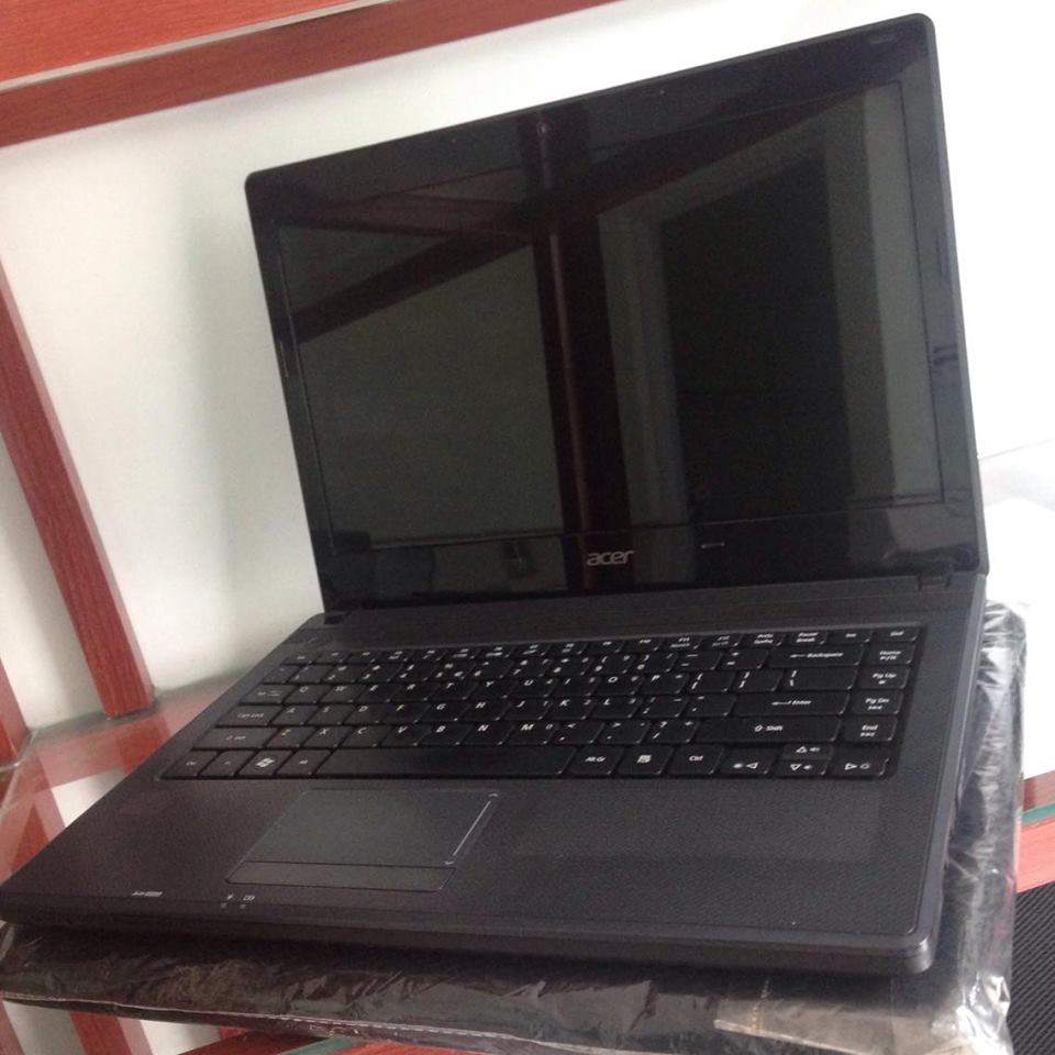 acer.jpg