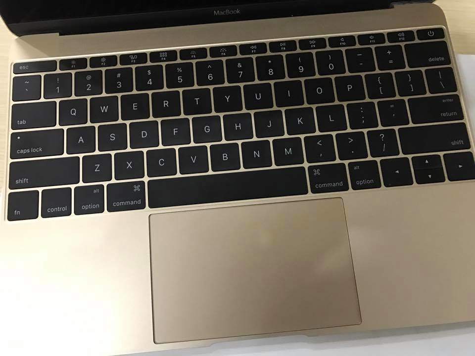 15747851_1379555098741952_8031963979720990605_n.jpg