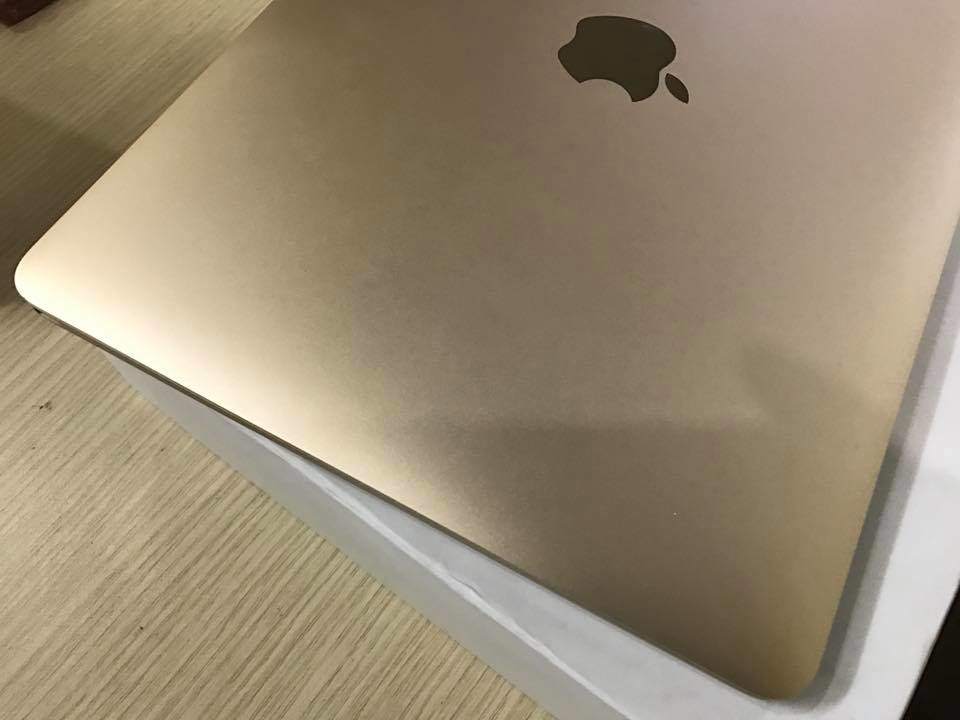 15825804_1379555435408585_7499560347764511412_n.jpg